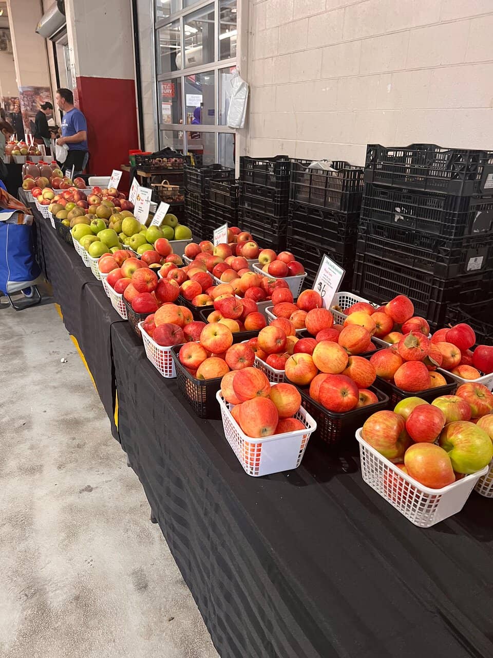 Youth Market