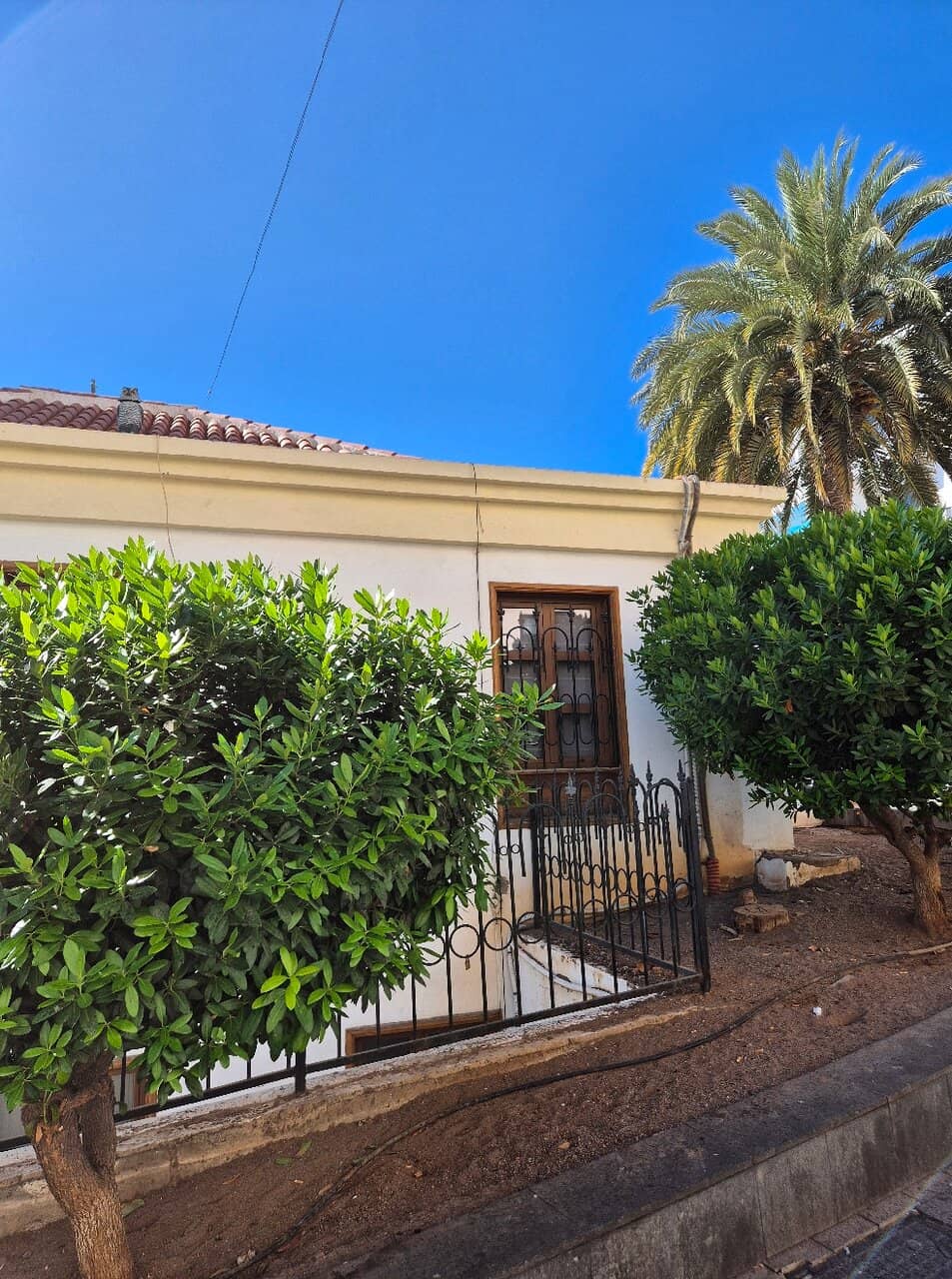 Festival Preparations