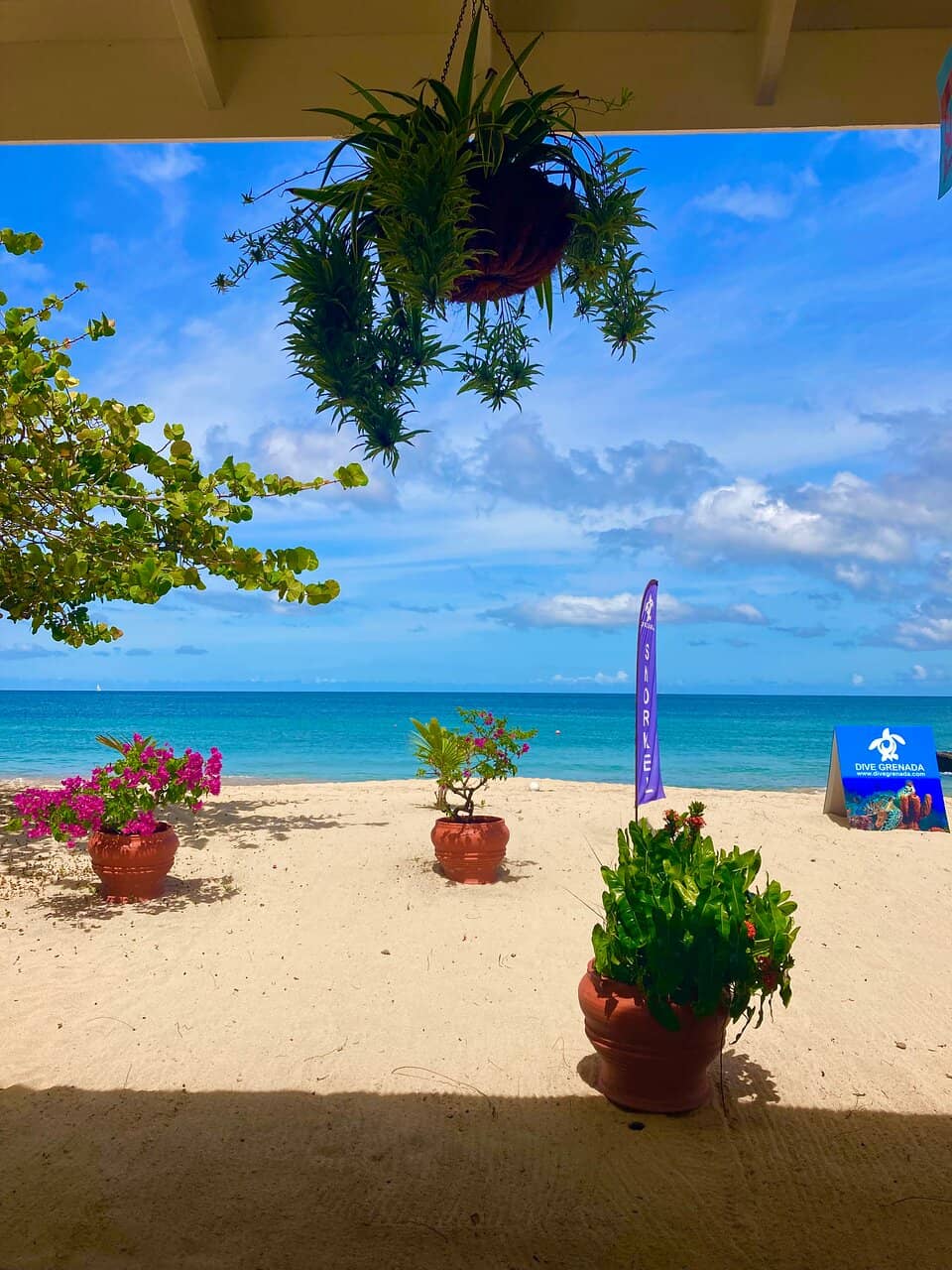 Vibrant Coral Reefs
