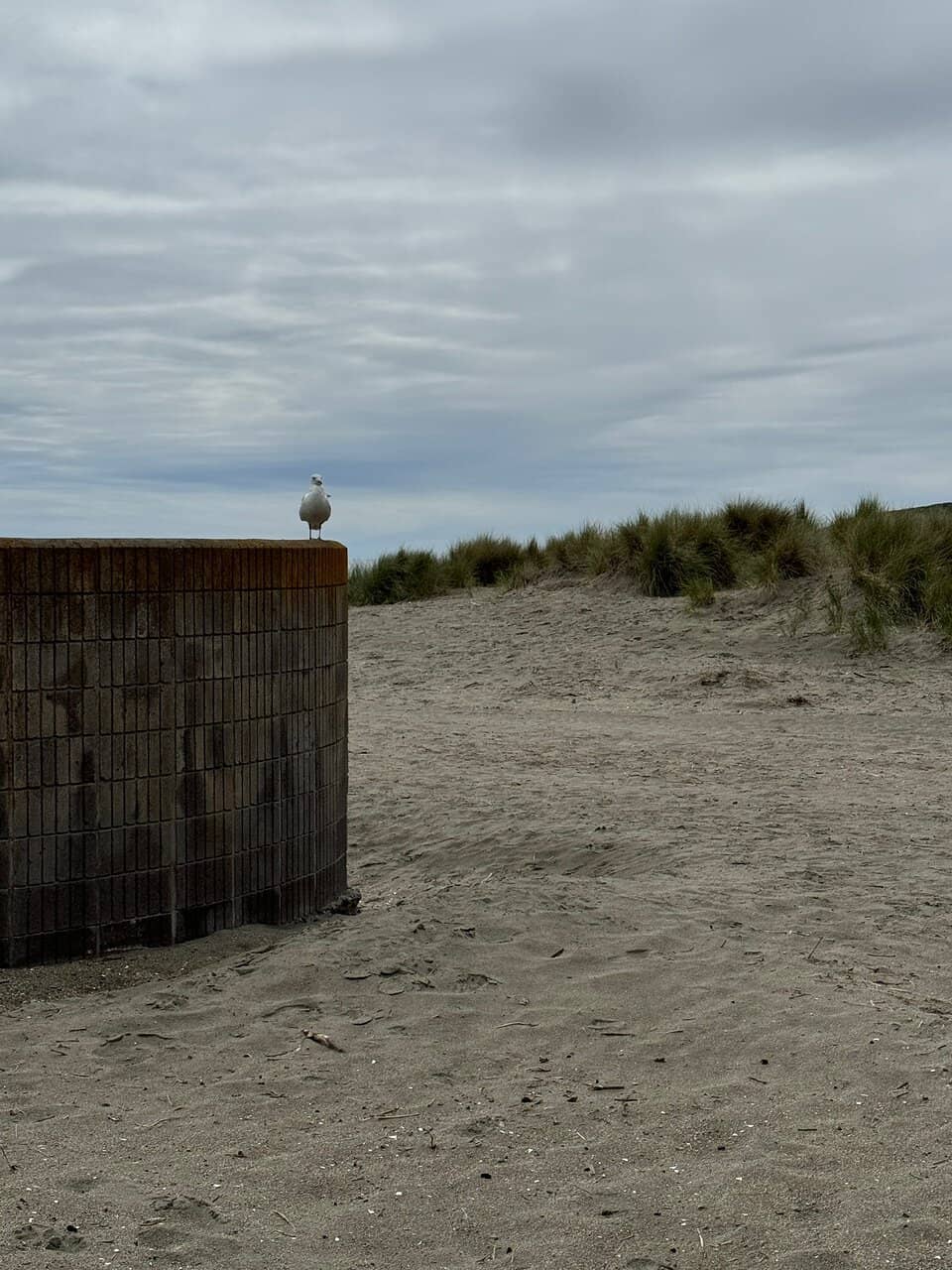 Kite Surfing Spectacle