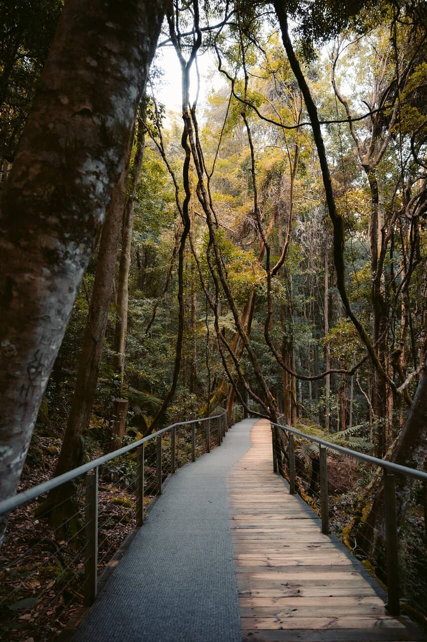 Vertical photo