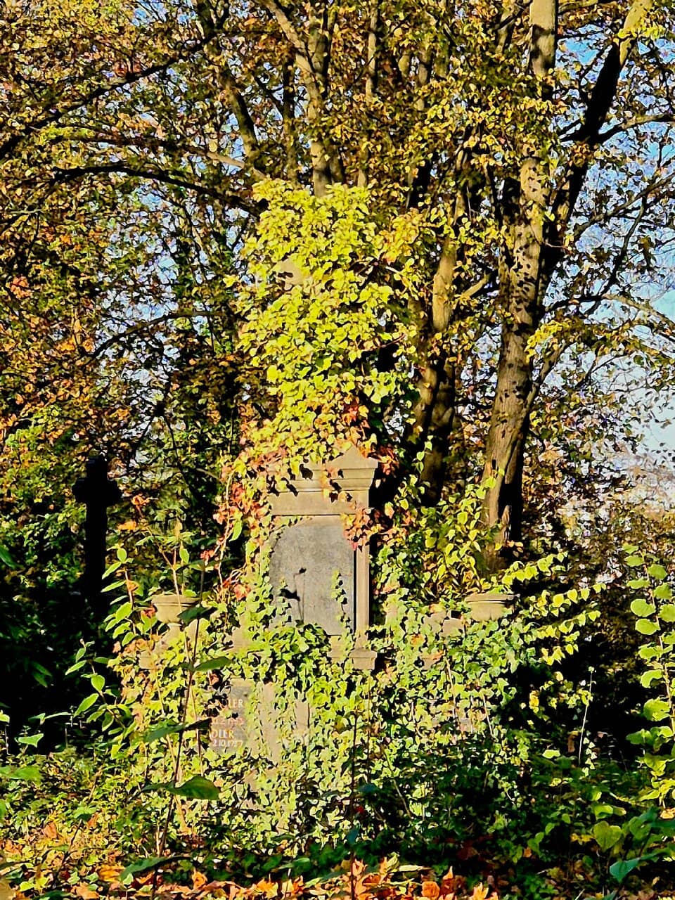 Vertical photo