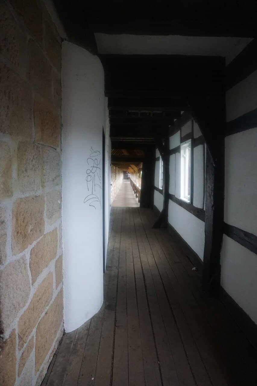 Peaceful Green Space