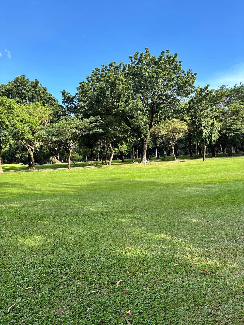 Signature Par 3s