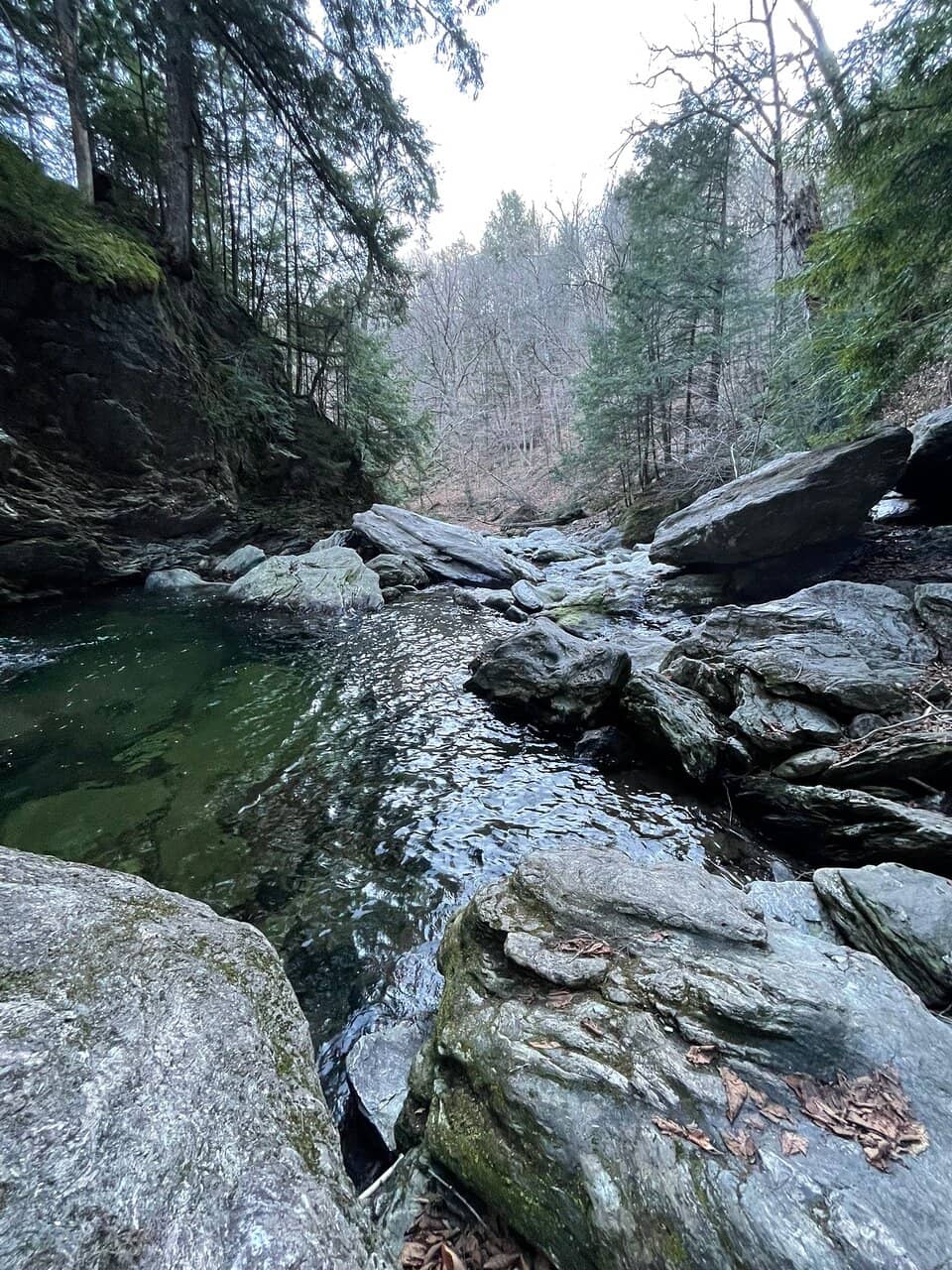 Moss-Covered Gorges