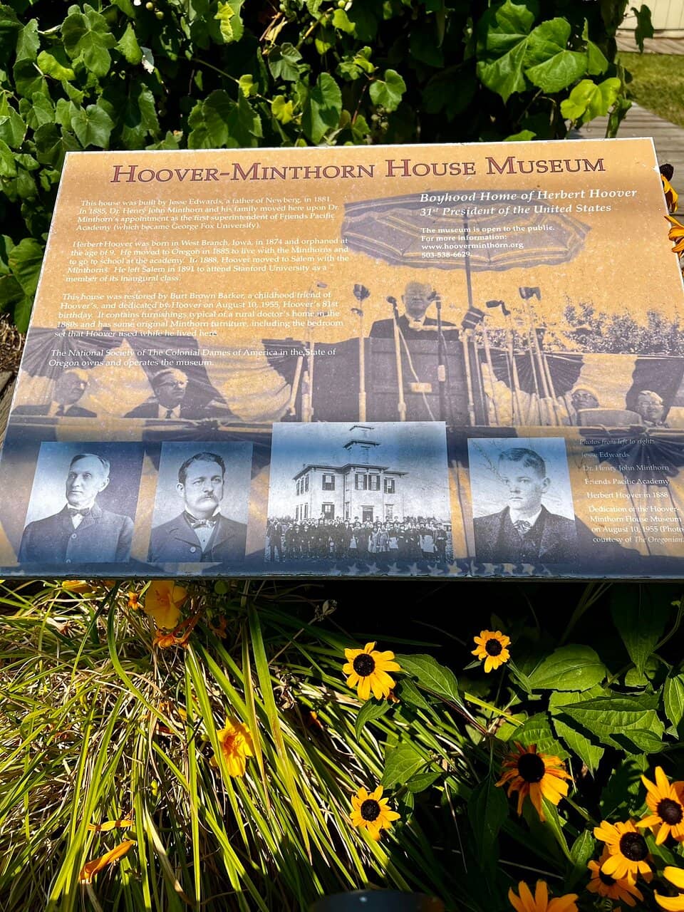 The Minthorn Pear Tree