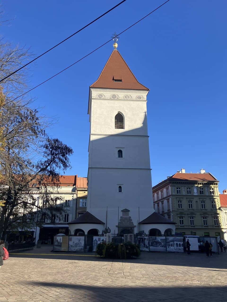 Vertical photo