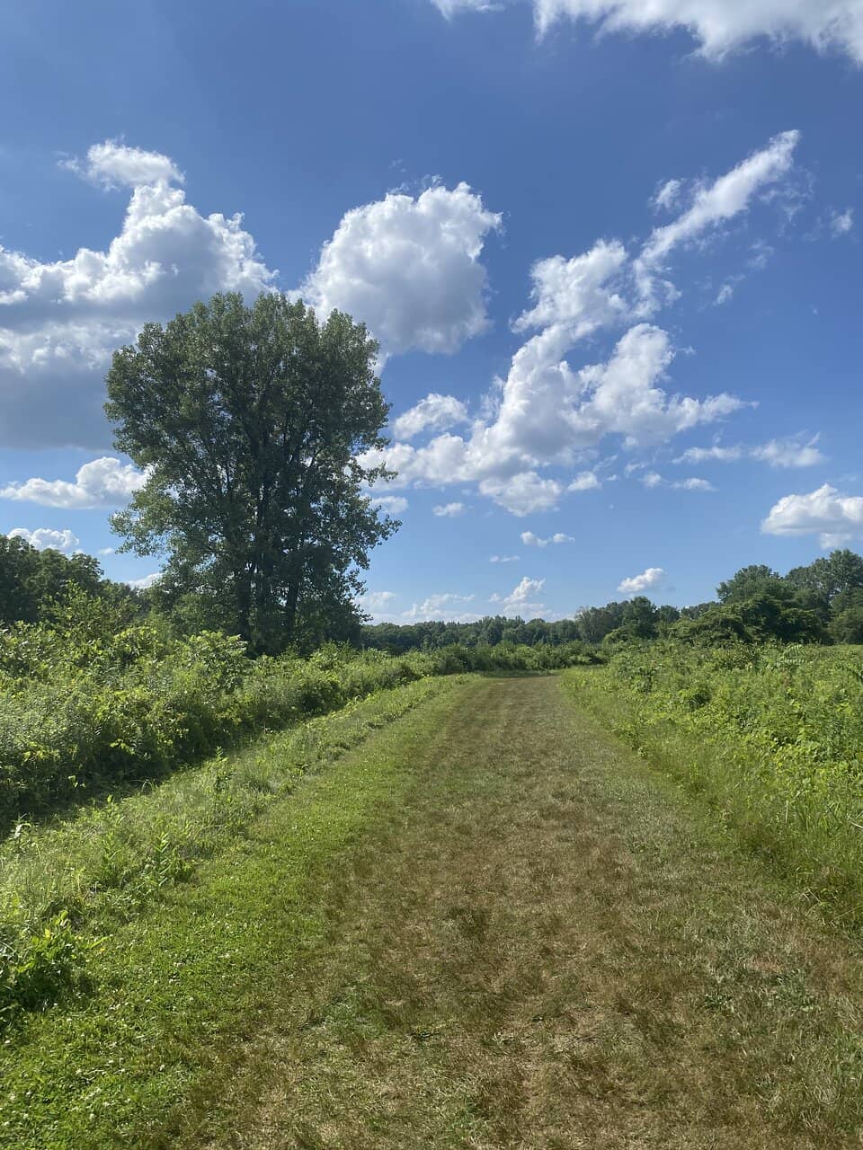 Inclusive Playgrounds