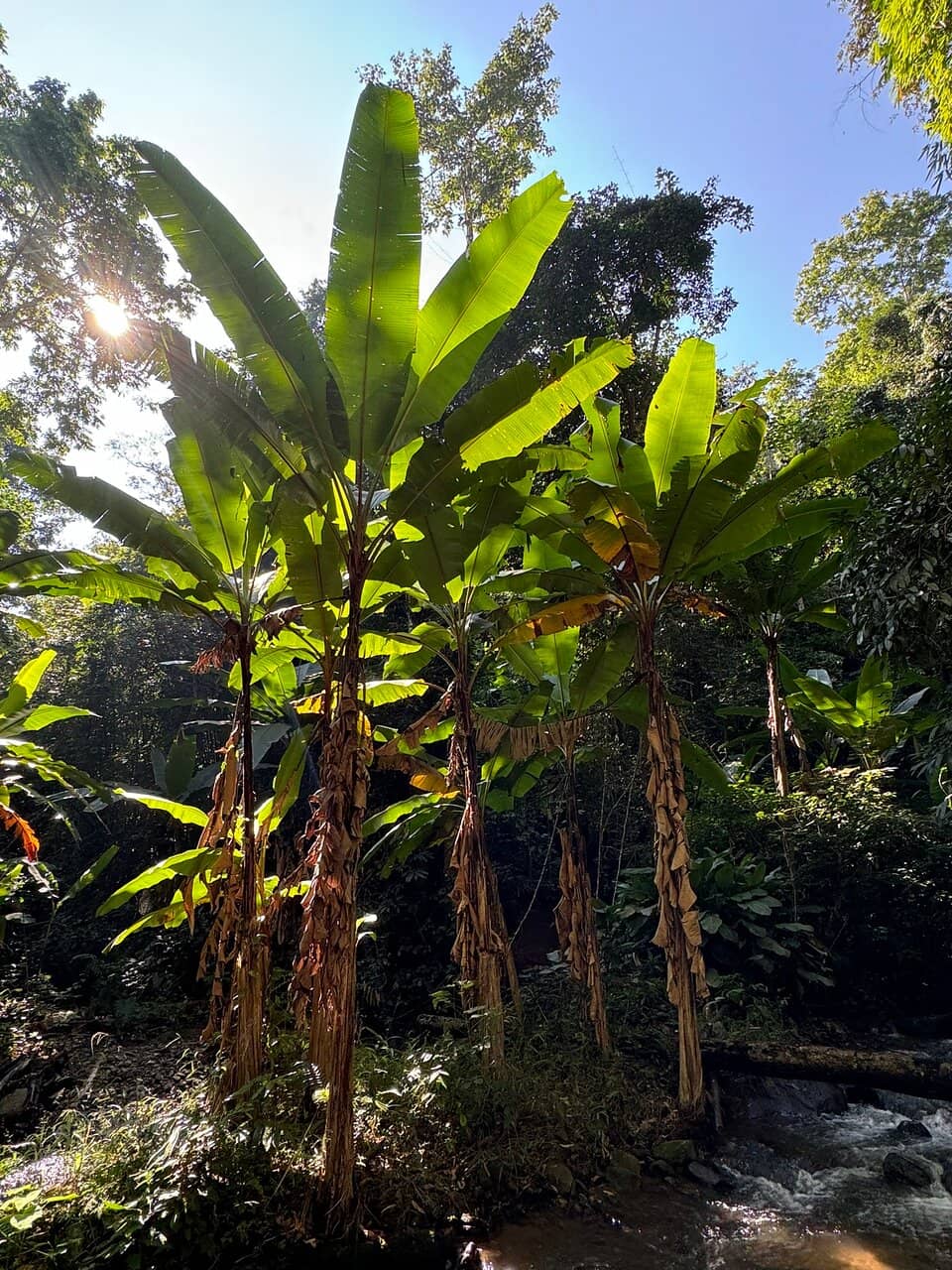 Natural Waterfall Massage