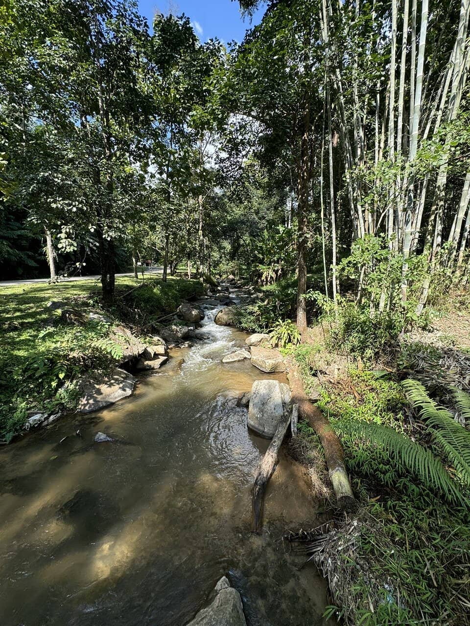 Scenic Bamboo Bridge Trail