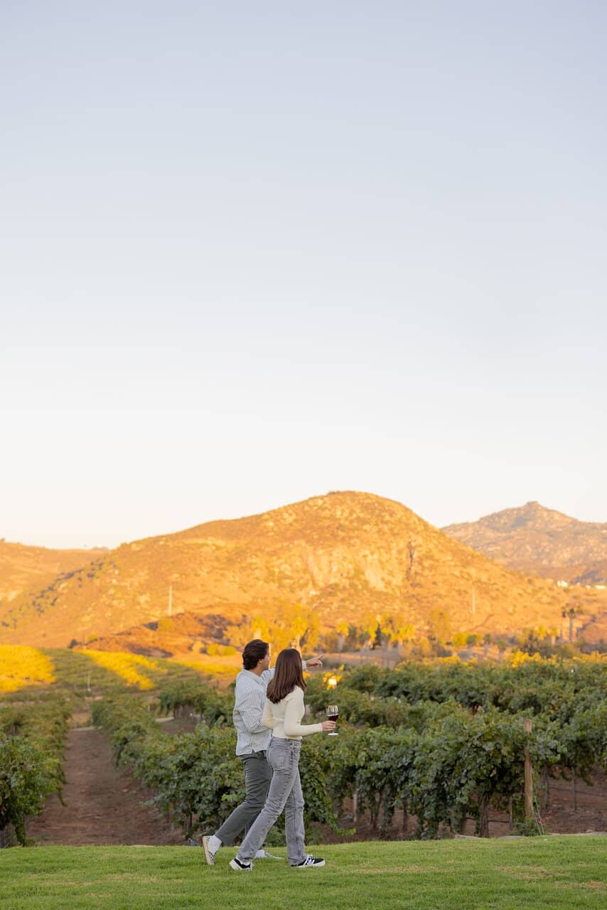 Wine Tasting Experience