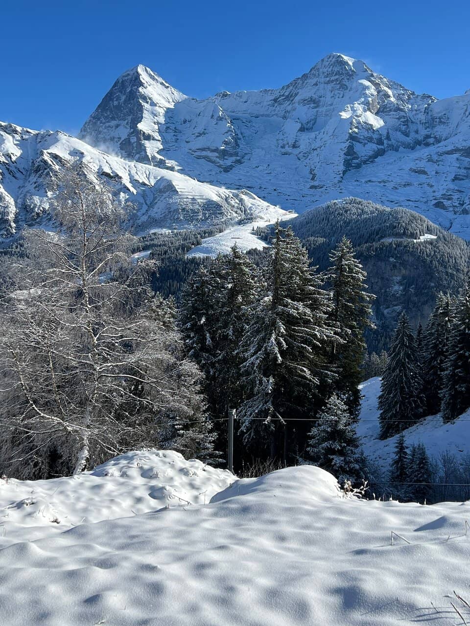 Lauterbrunnen Valley Views