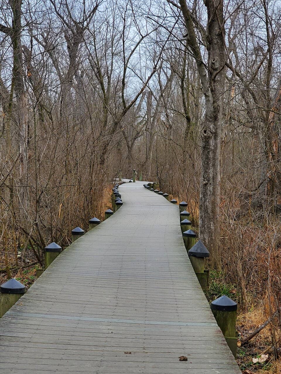 Columbia Island Marina