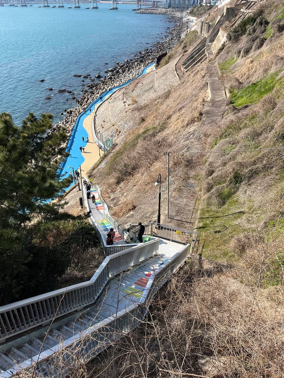 Street Art and Murals