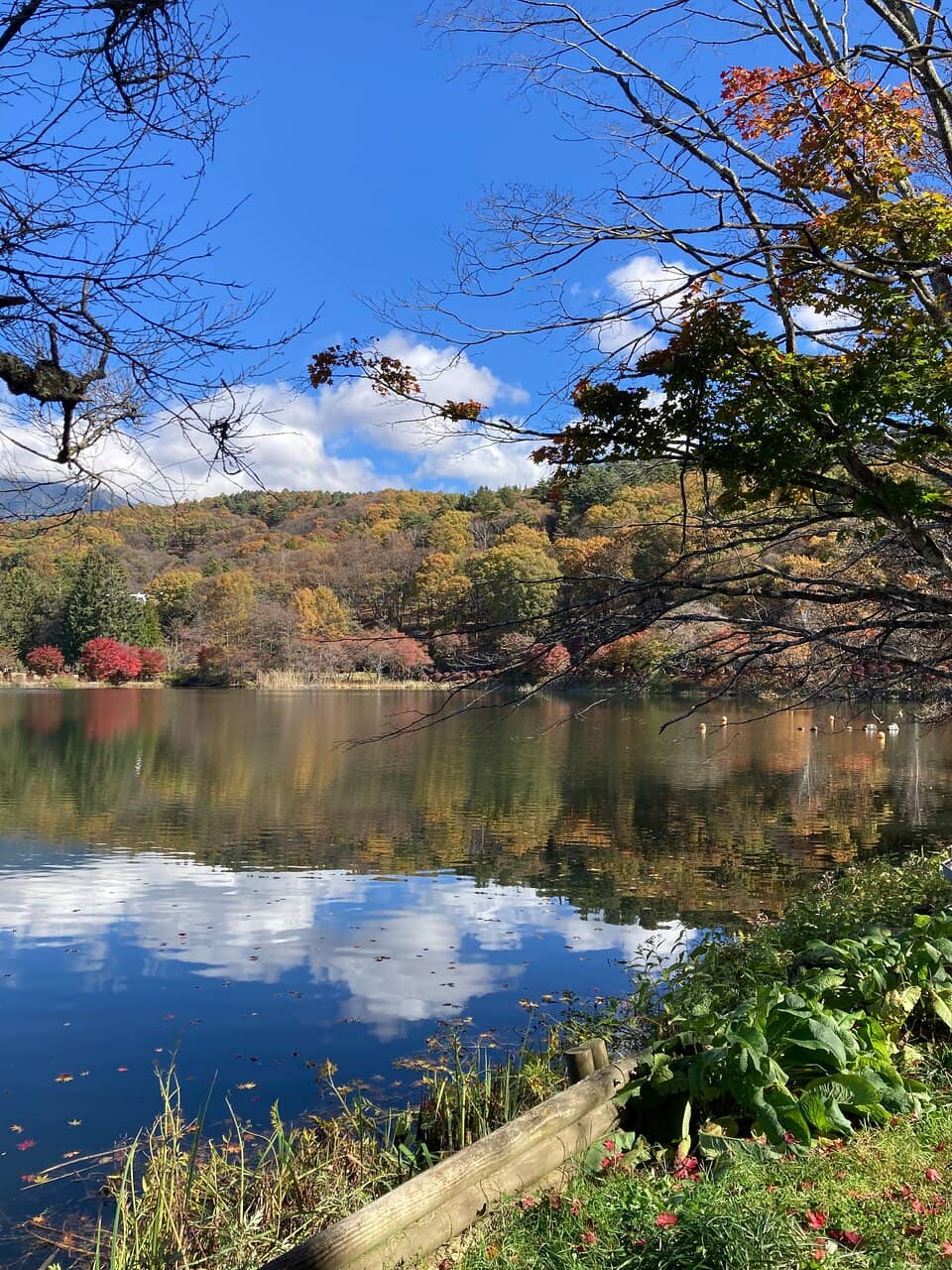 Kitamura Seibo Sculpture Garden