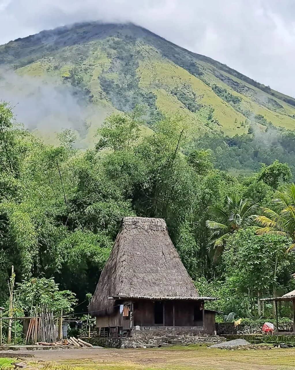 Traditional Houses