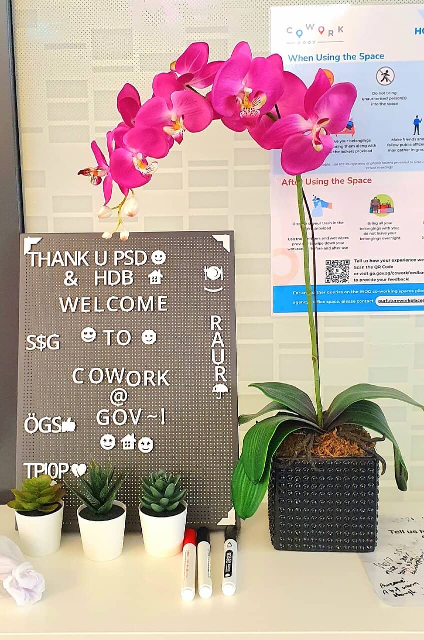 Rooftop & Sky Gardens