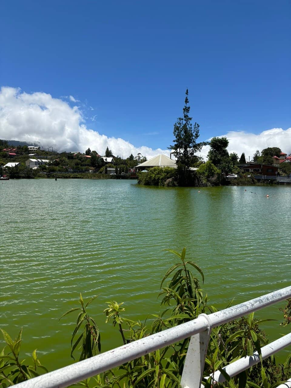 Peaceful Lakeside Stroll