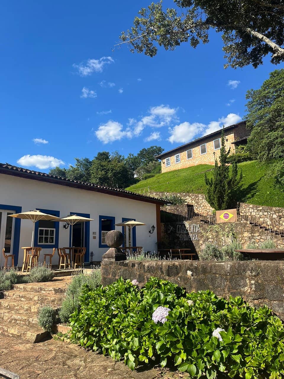 Cachaça Tasting Experience