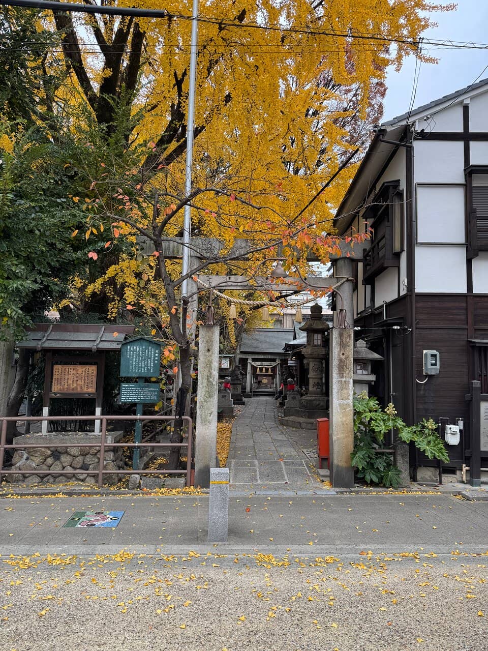 Rooftop Shrines (Yanegami)