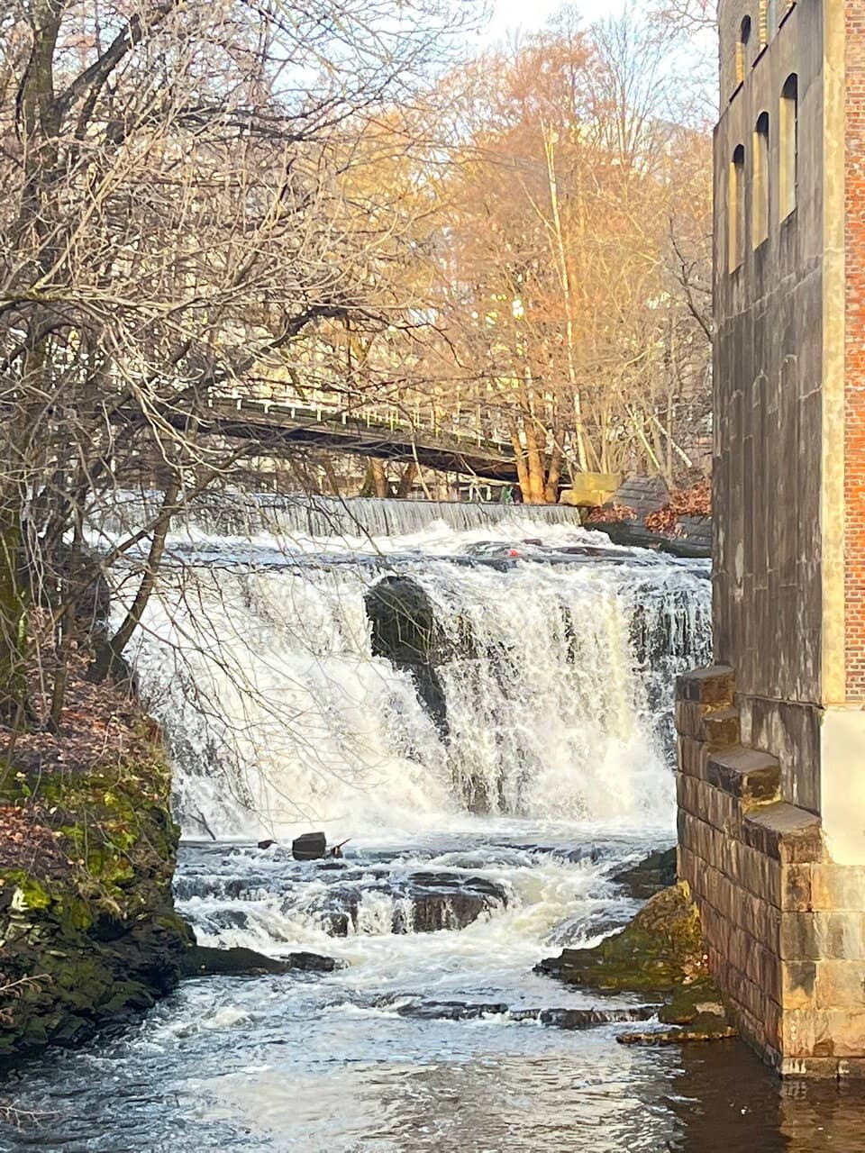 Picnic Spots & Swimming Areas
