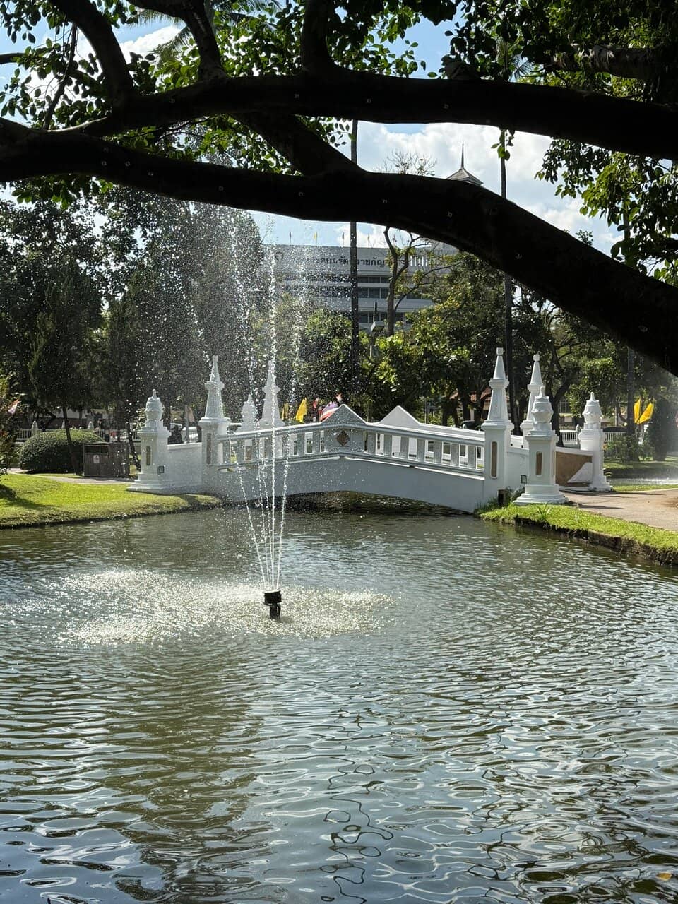 Tranquil Ponds and Water Features