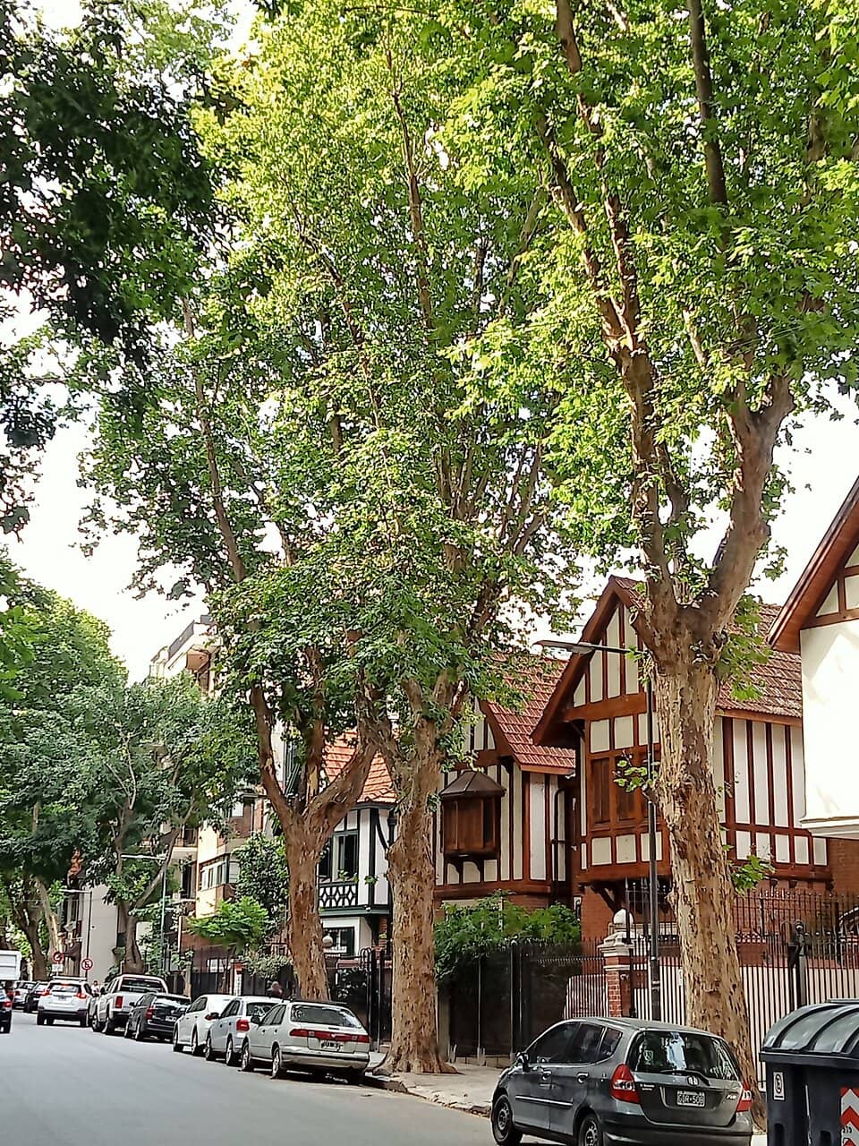 Vertical photo