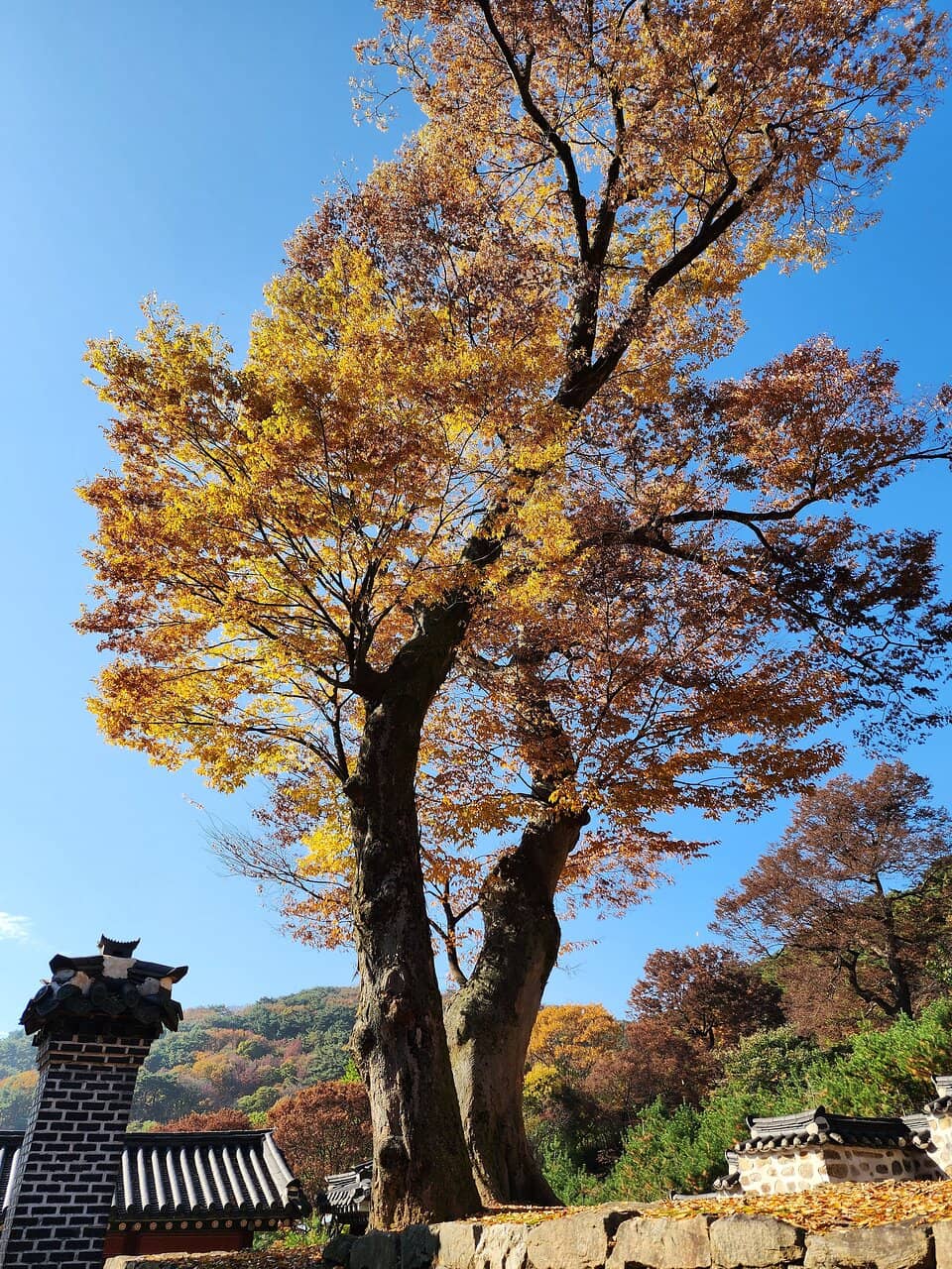 Namhansanseong Haenggung (Palace)