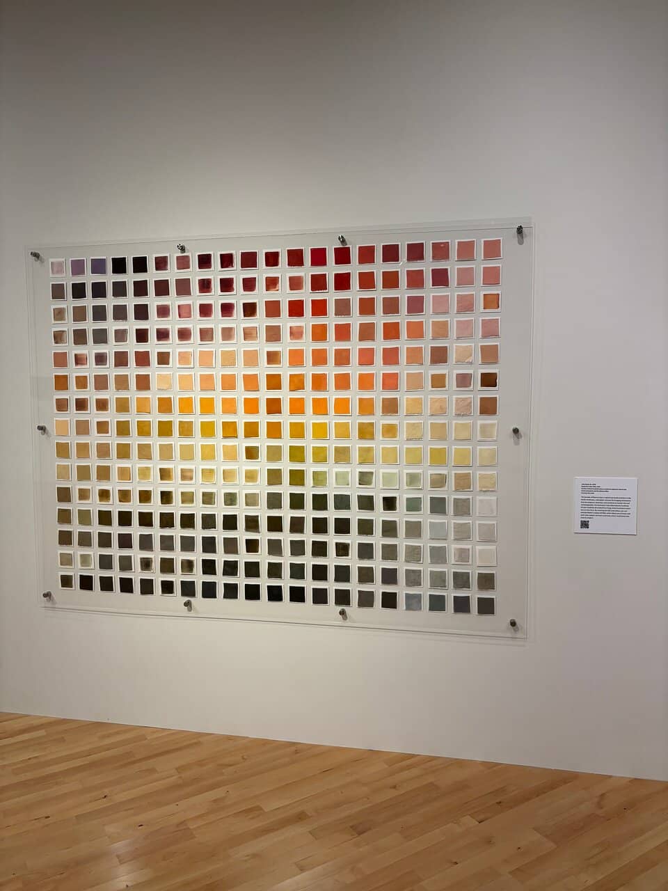 Special Exhibitions