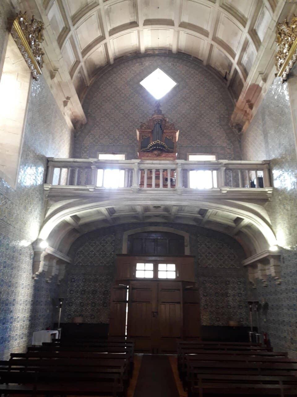 Cinematic Patio Views