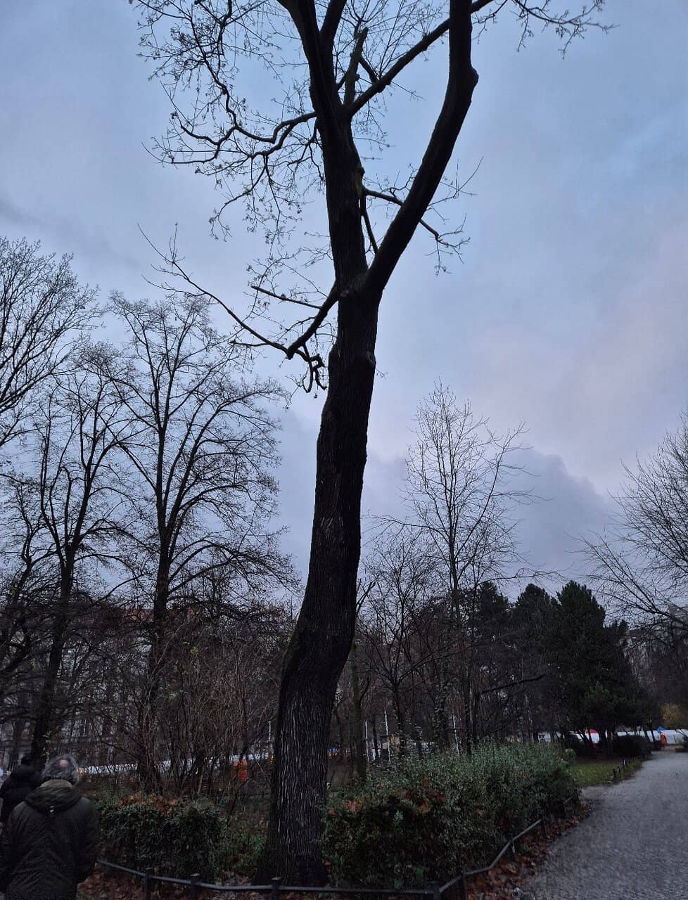 Käthe Kollwitz Sculpture