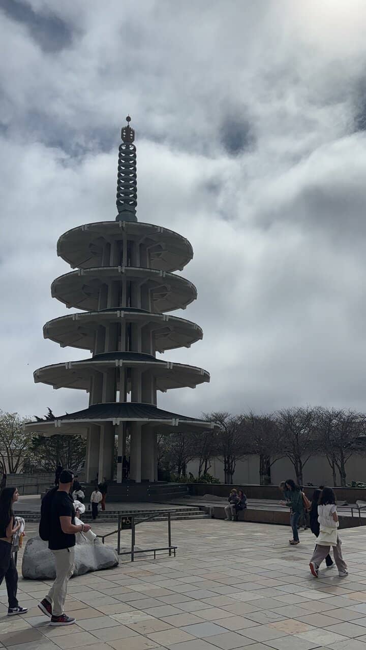 Vertical photo