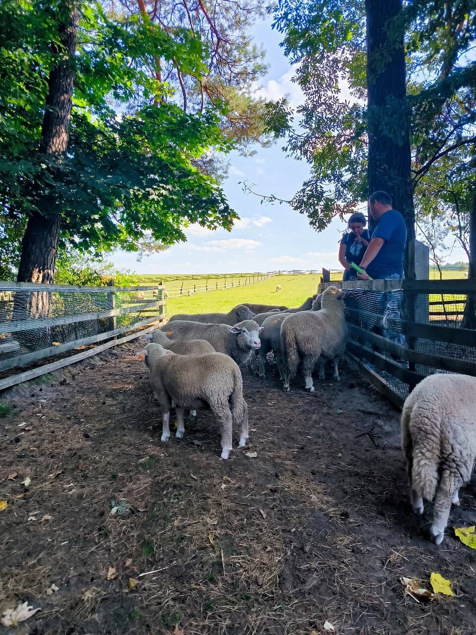 Tanew River Kayaking