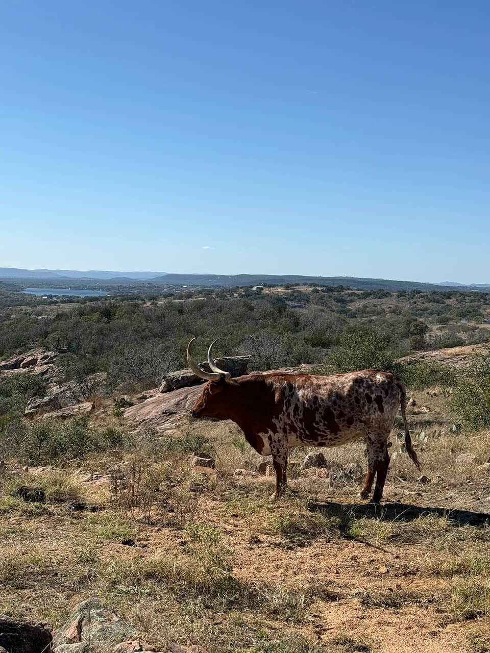 Wine Tasting Experience