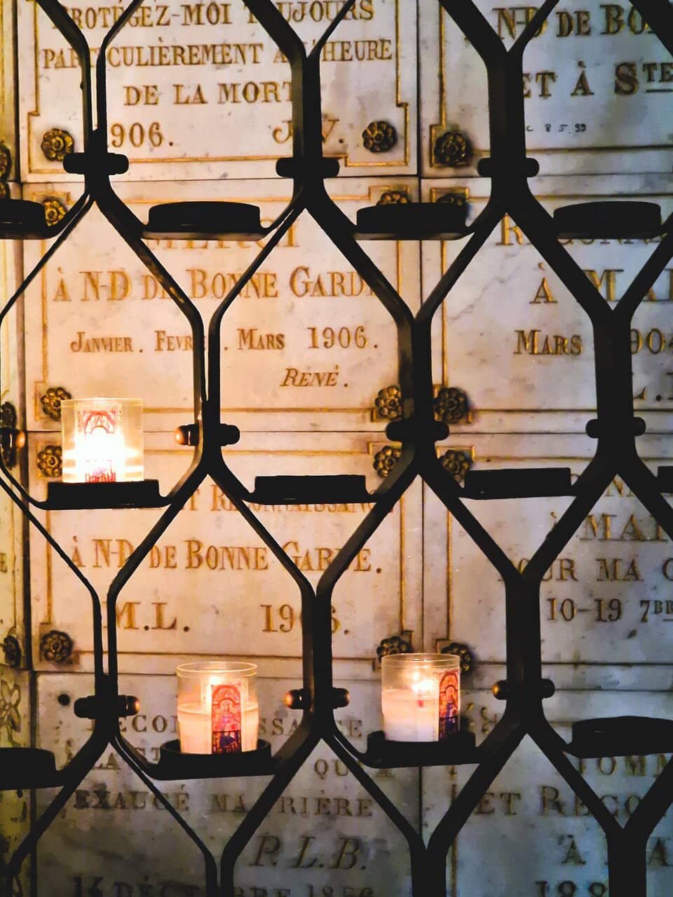 The Organ's Melody