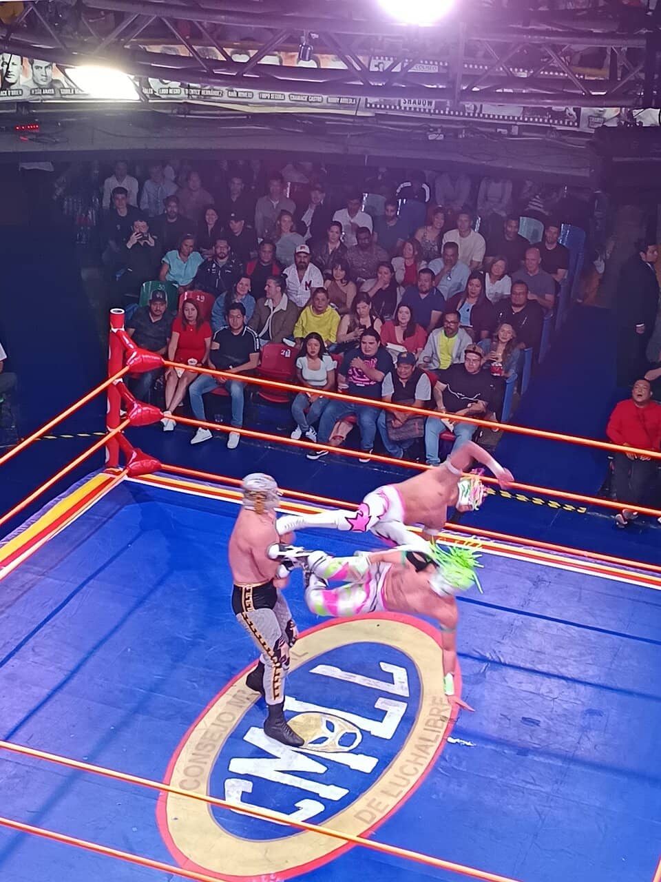 Traditional Arena Experience