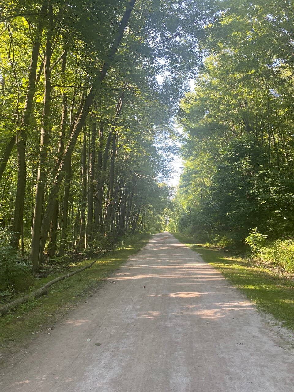 Golden Hour Photography