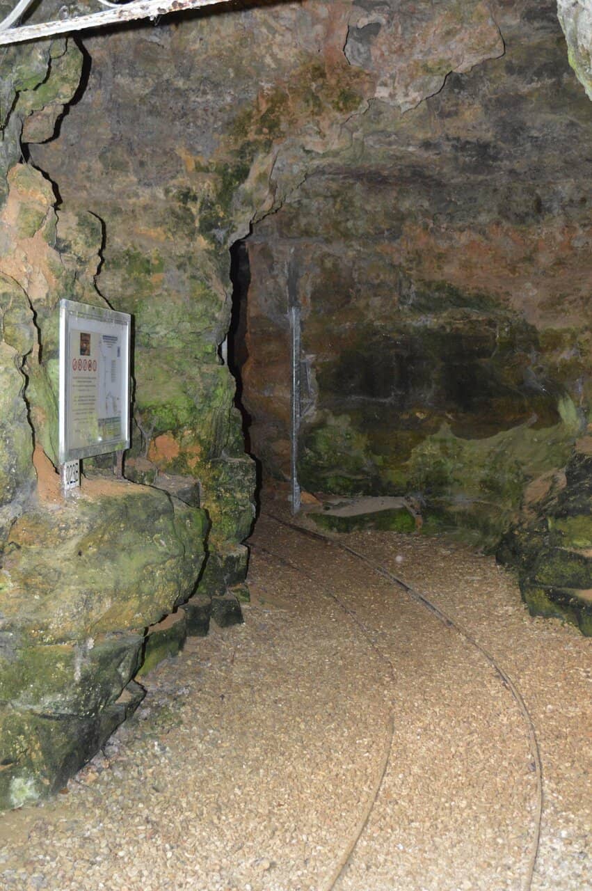 Expert Guided Tours