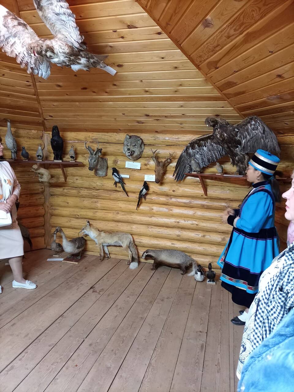 Morning & Evening Runs