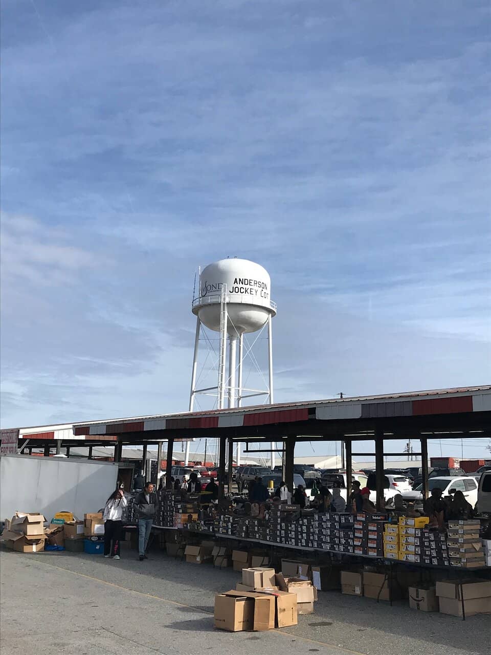 Fresh Farmer's Market Finds