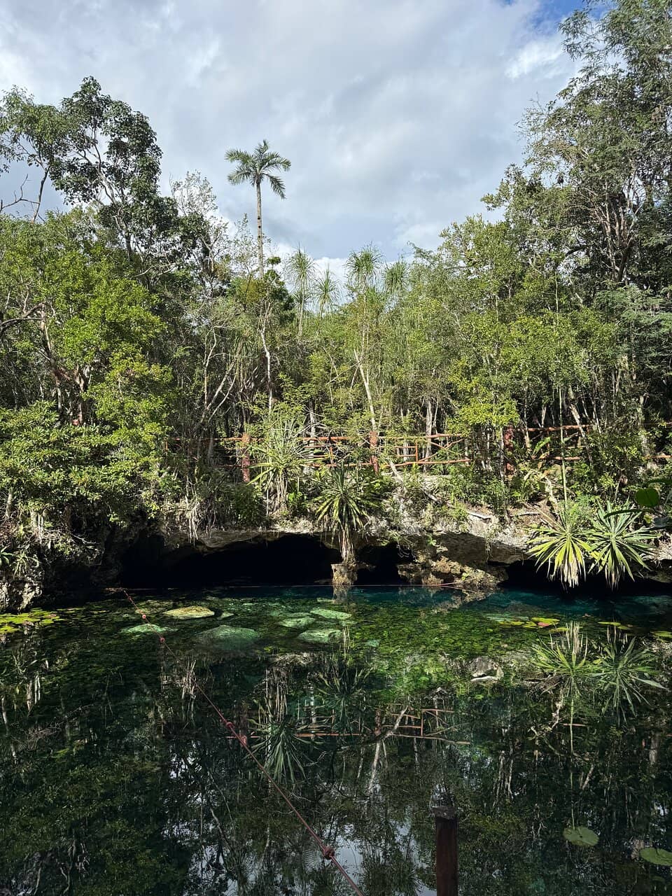 Vulture Cave