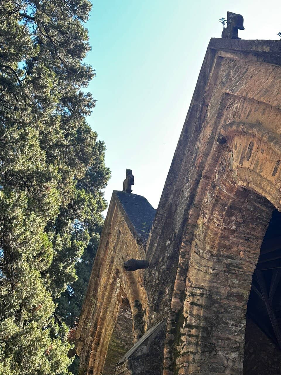 Vertical photo