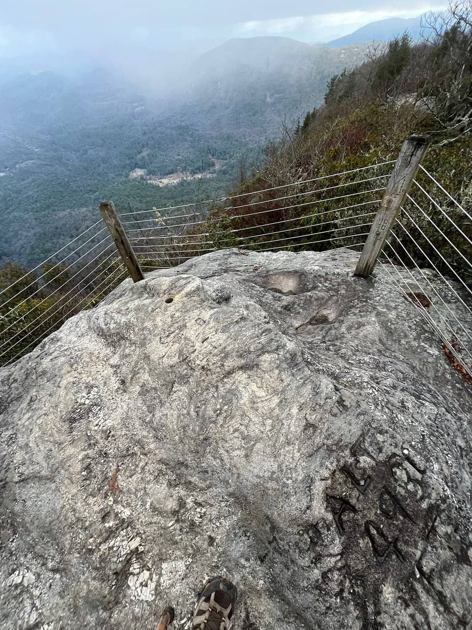 Vertical photo