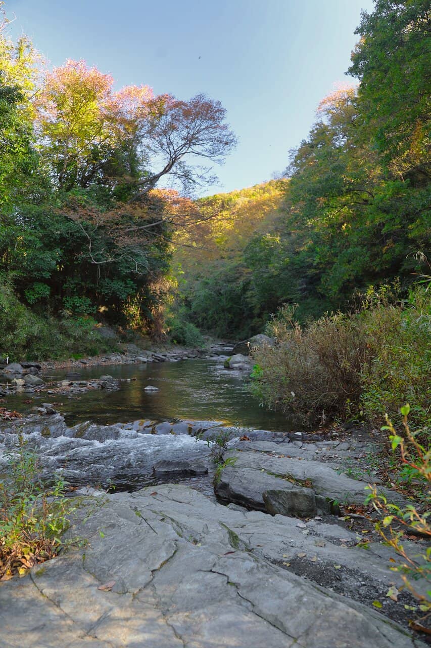 Tsuki River Views