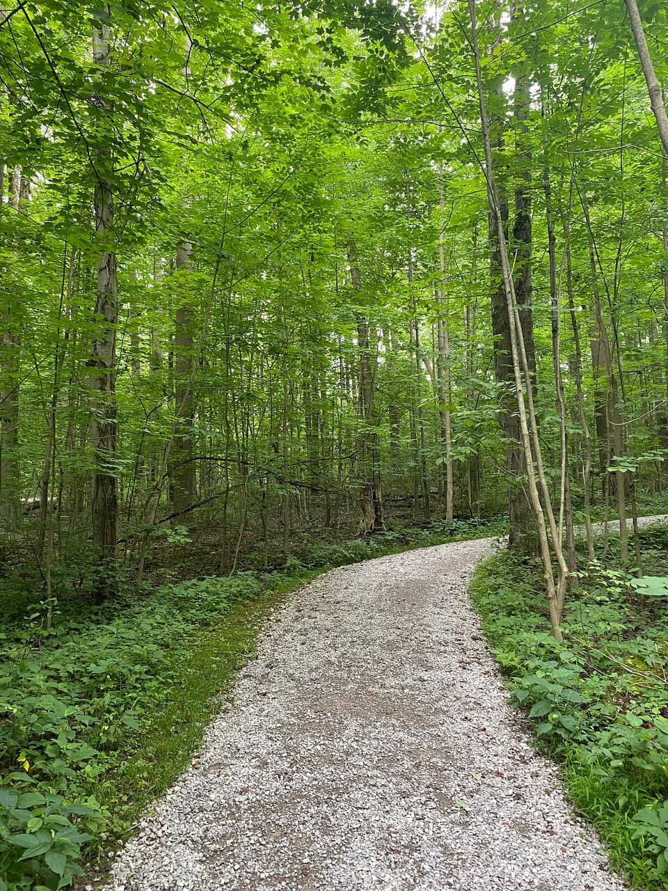 Well-Maintained Trails