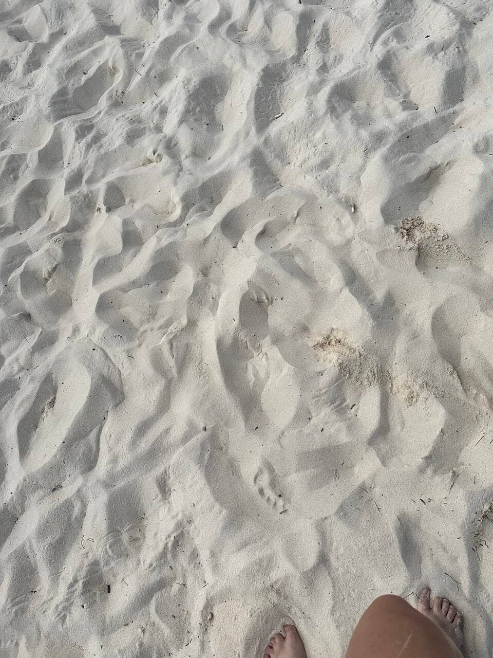 Crab Sculptures