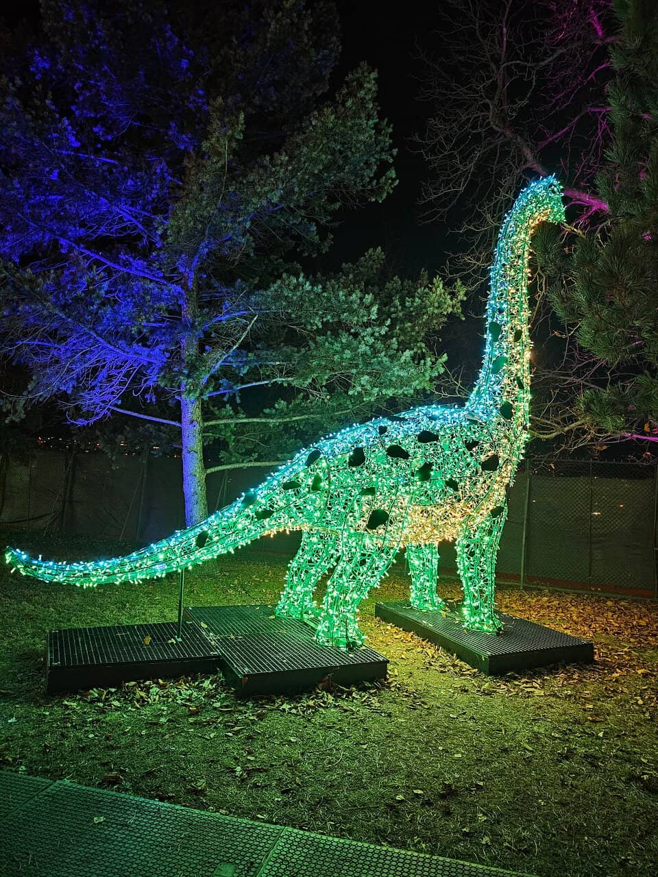 Interactive Displays