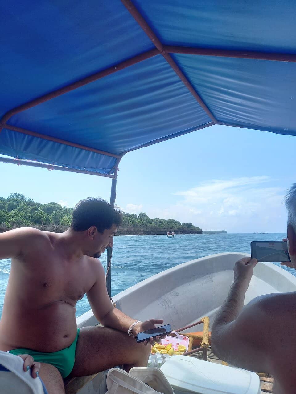 Marine Life Encounters