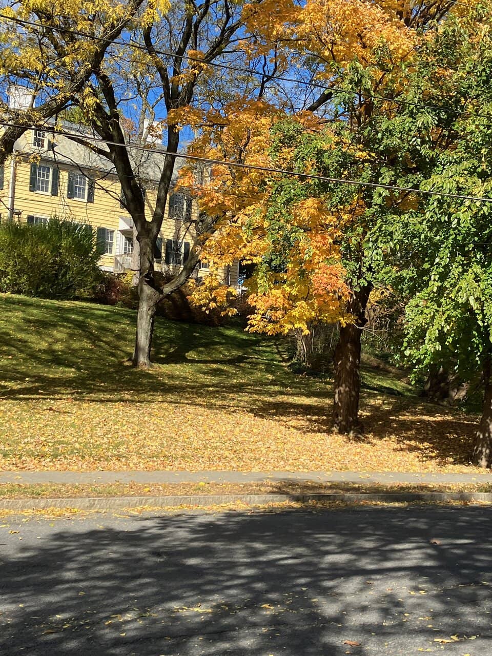 Five Generations of Family Life