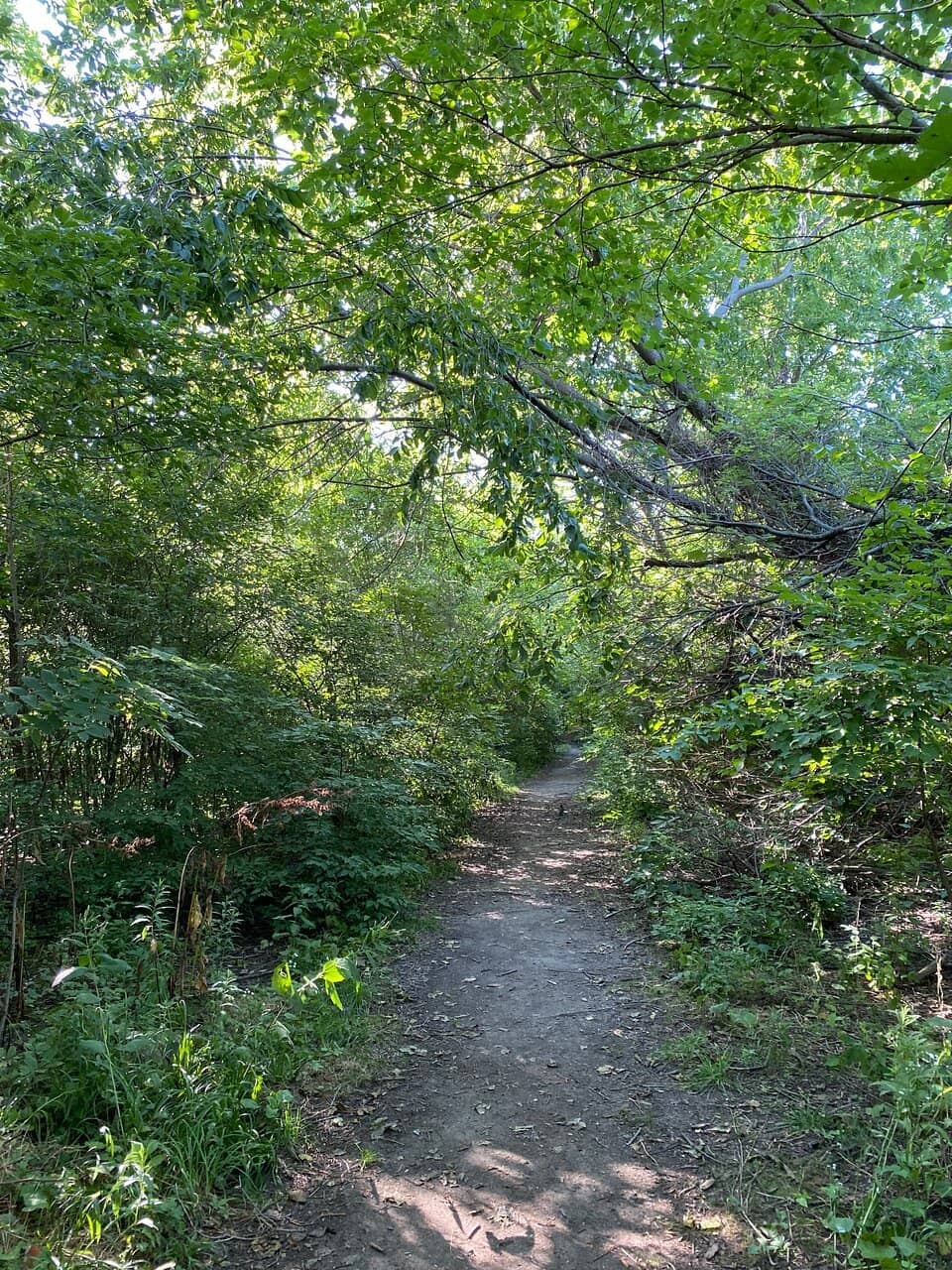 Scenic Island Trails
